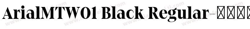 ArialMTW01 Black Regular字体转换